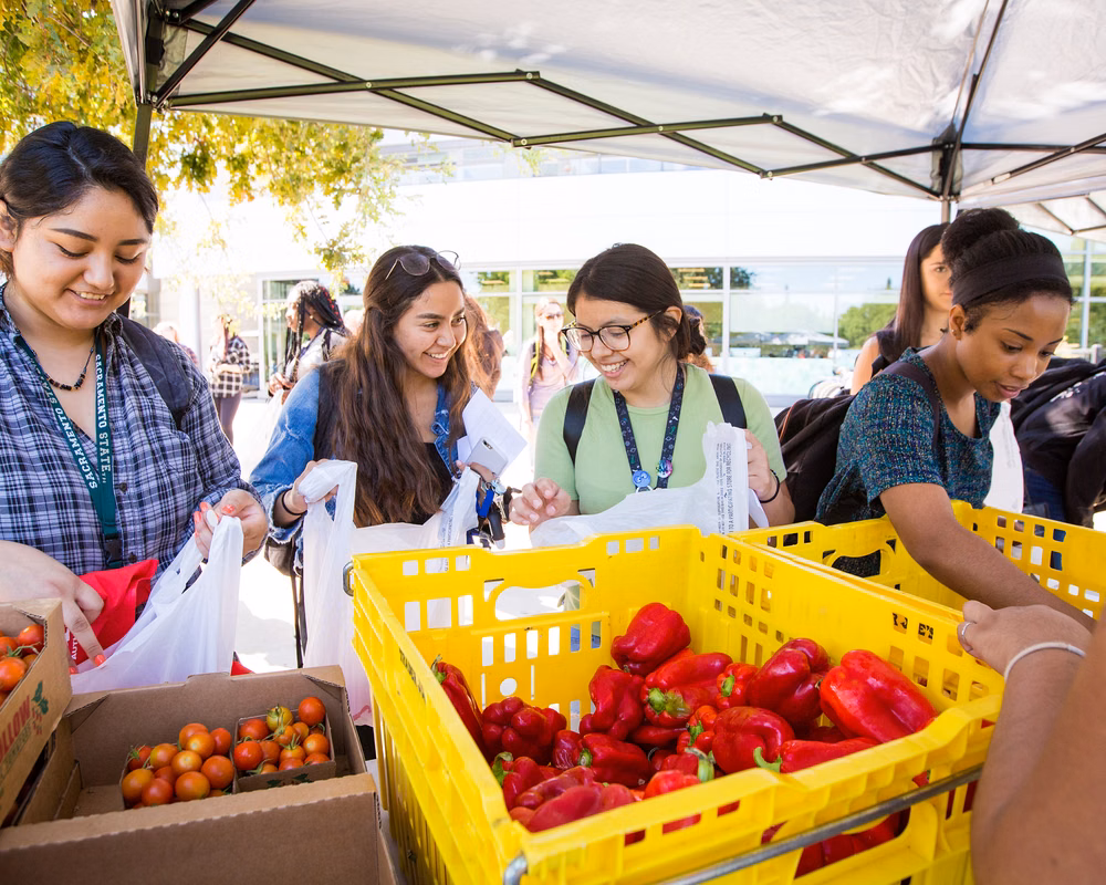 Students at a farmers market