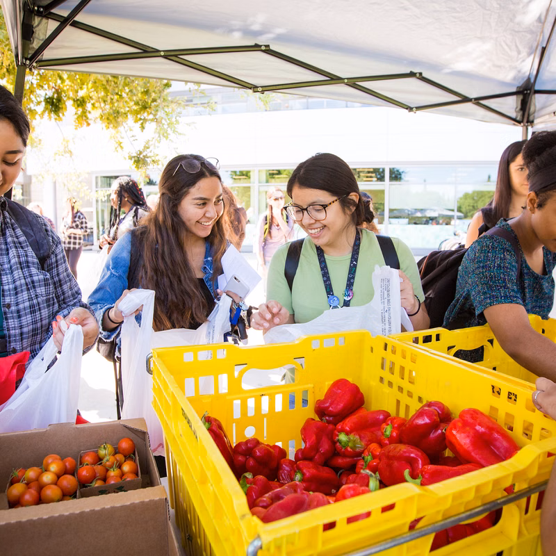 Students at a farmers market