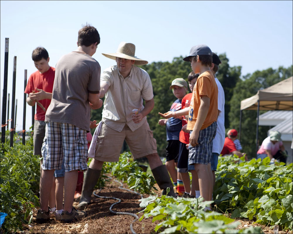 lead photo of children planting vegetables and flowers as they participate in UGArden's Home School Co-op