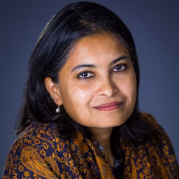 Headshot of Anoshua Chaudhuri