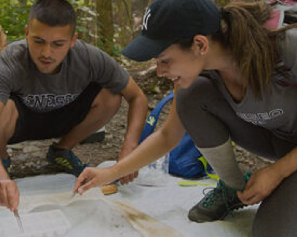 Fostering Integrative Learning and Reflection through “Signature Assignments”